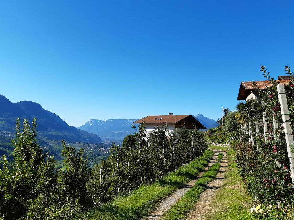 Panoramawohnung Annaheim Rifiano Eksteriør bilde